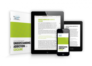 Understanding addiction to Cocaine ebook