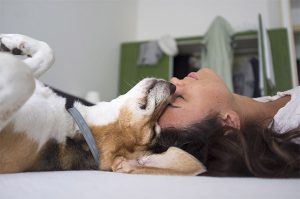 Pet Therapy for Addiction Recovery