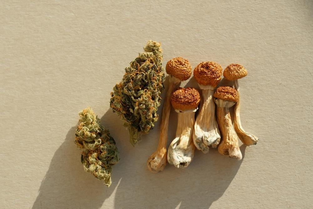 shrooms and weed